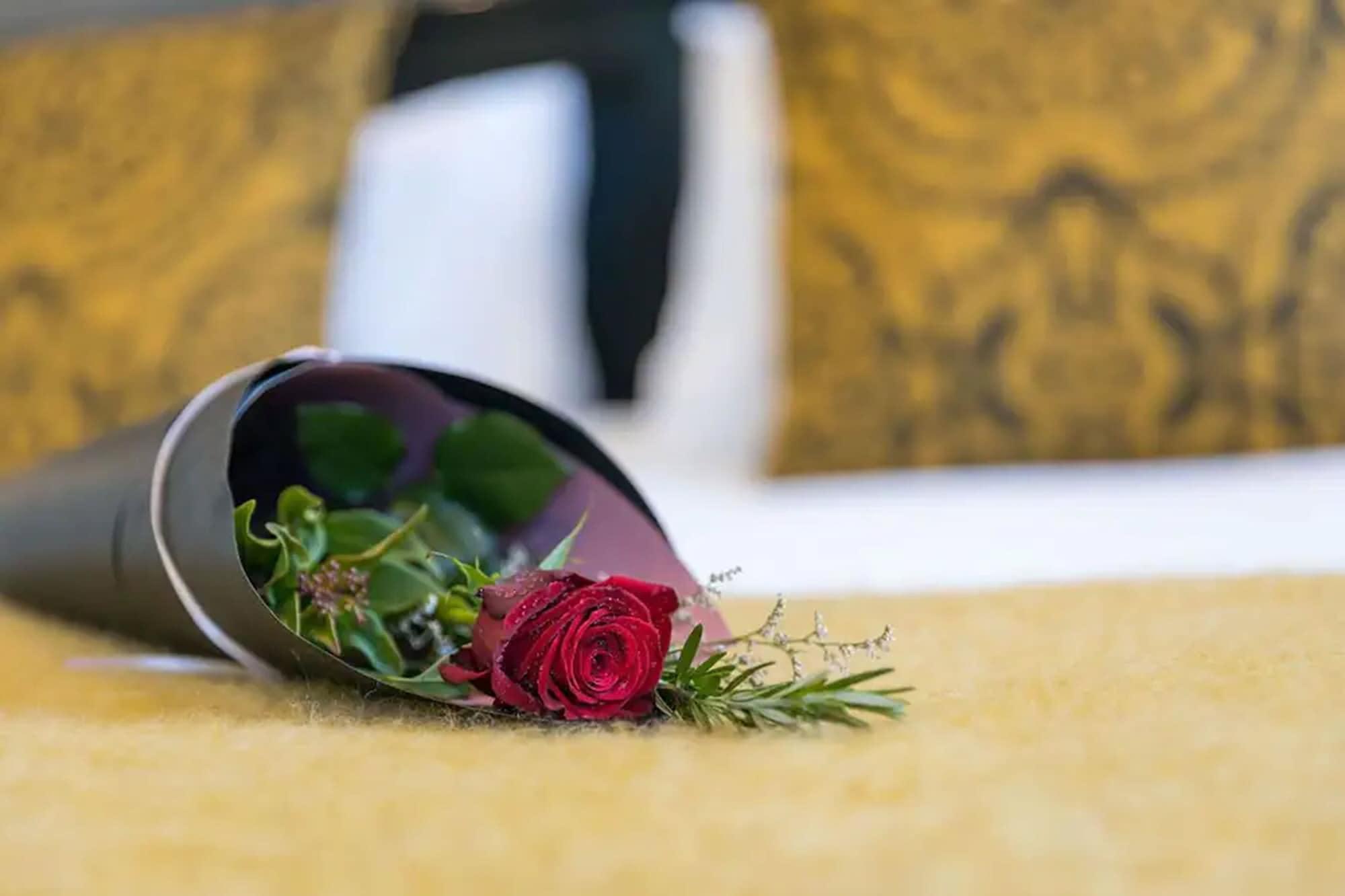 Palazzo Motor Lodge Nelson Bagian luar foto A rose in a vase